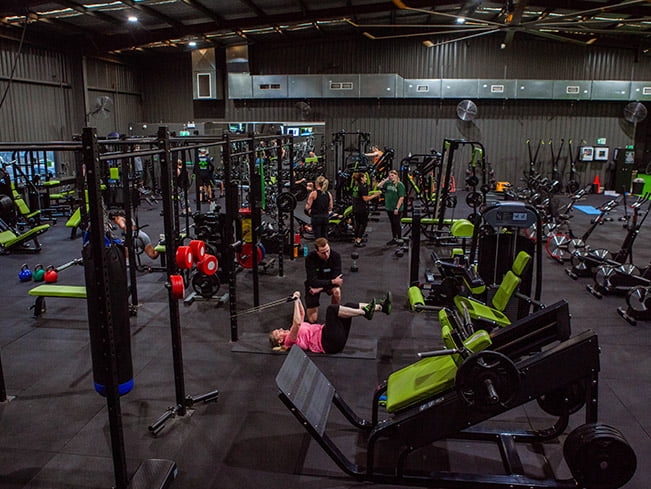 Fitness Program